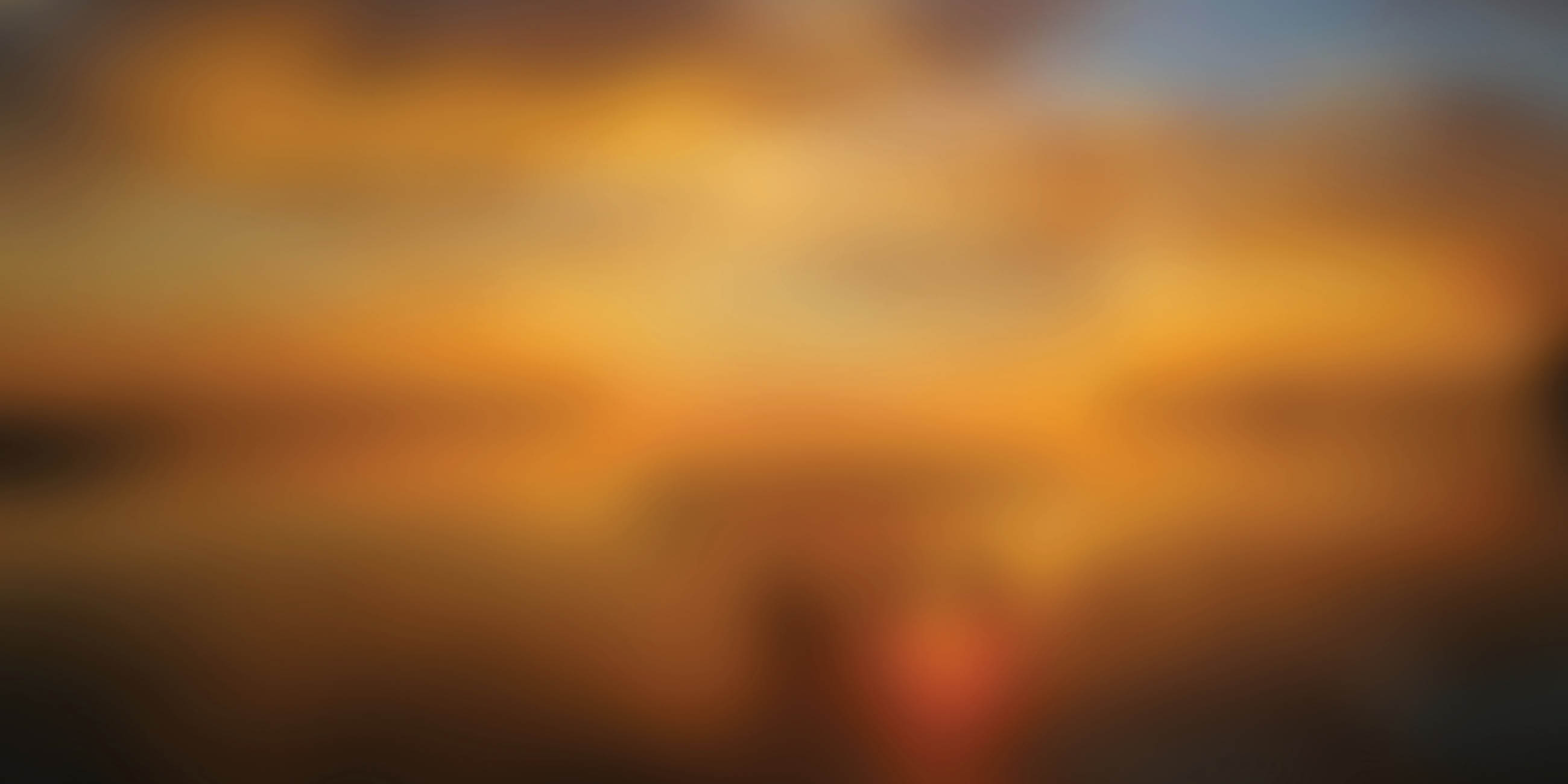 Sailfish purple bgrnd